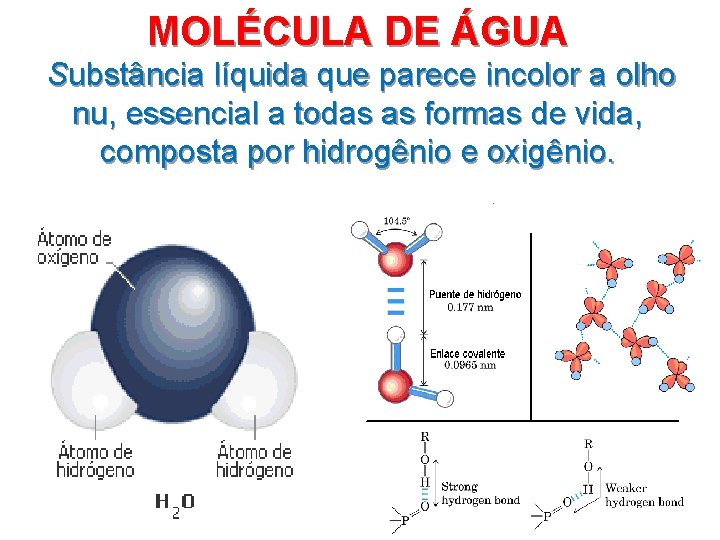 MOLÉCULA DE ÁGUA Substância líquida que parece incolor a olho nu, essencial a todas