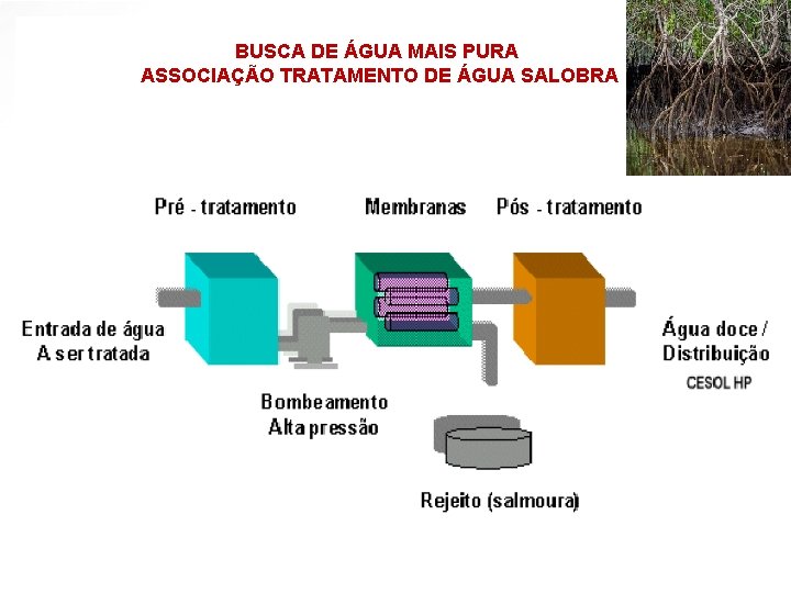 BUSCA DE ÁGUA MAIS PURA ASSOCIAÇÃO TRATAMENTO DE ÁGUA SALOBRA 