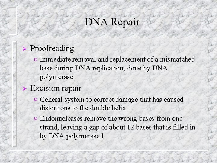 DNA Repair Ø Proofreading ³ Ø Immediate removal and replacement of a mismatched base