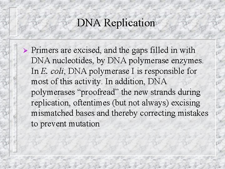 DNA Replication Ø Primers are excised, and the gaps filled in with DNA nucleotides,