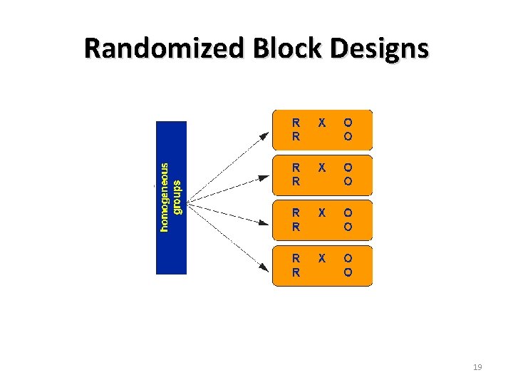 Randomized Block Designs 19 