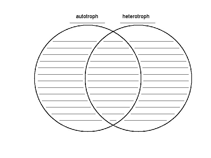 autotroph heterotroph 