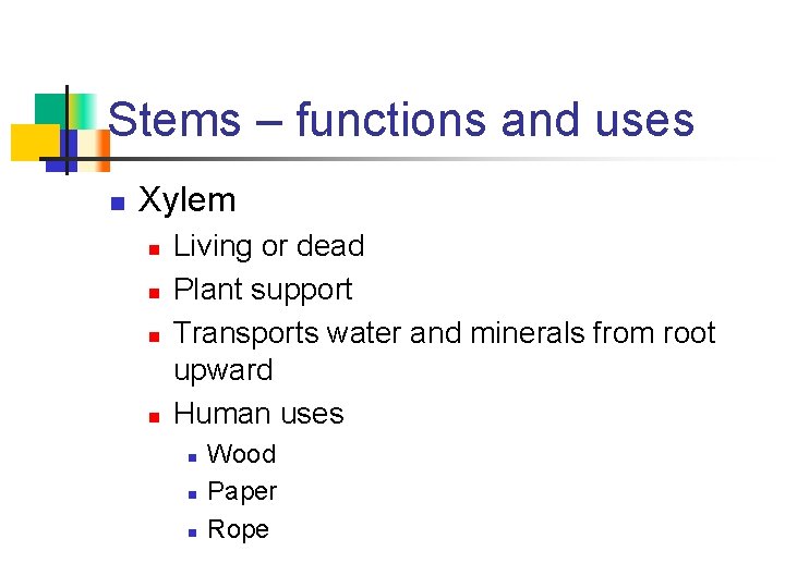 Stems – functions and uses n Xylem n n Living or dead Plant support