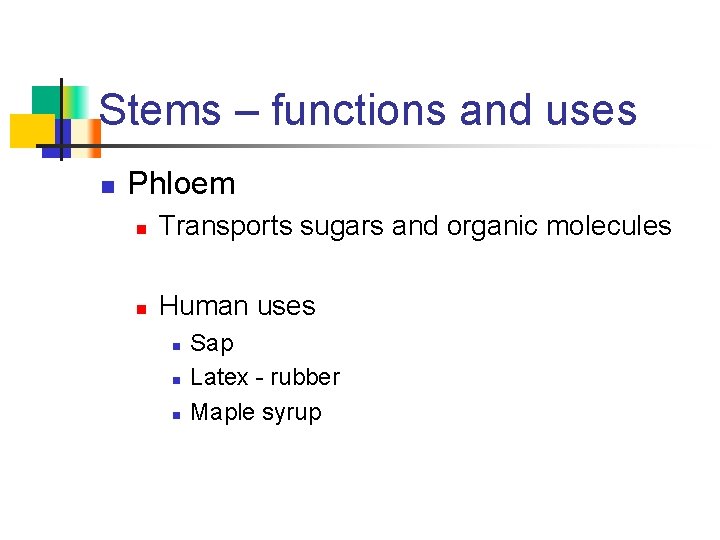 Stems – functions and uses n Phloem n Transports sugars and organic molecules n