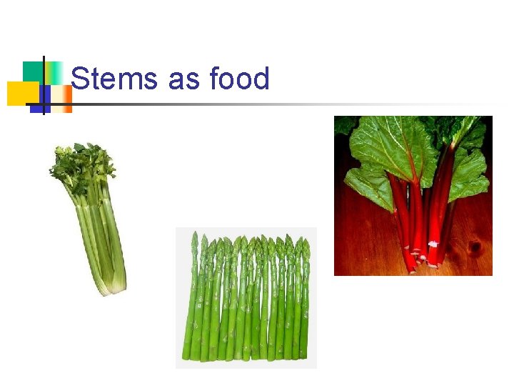 Stems as food 
