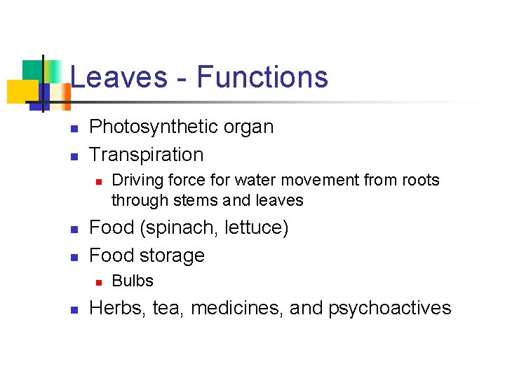 Leaves - Functions n n Photosynthetic organ Transpiration n Food (spinach, lettuce) Food storage
