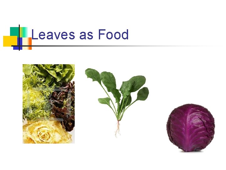 Leaves as Food 