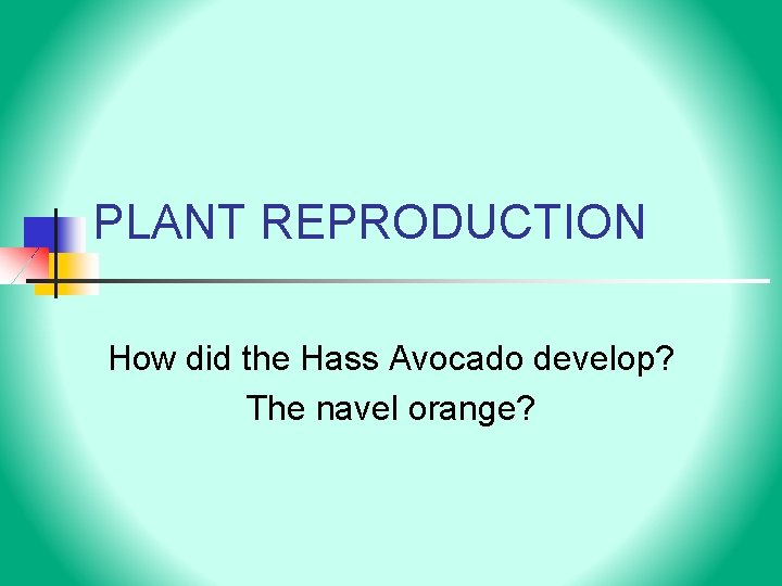 PLANT REPRODUCTION How did the Hass Avocado develop? The navel orange? 