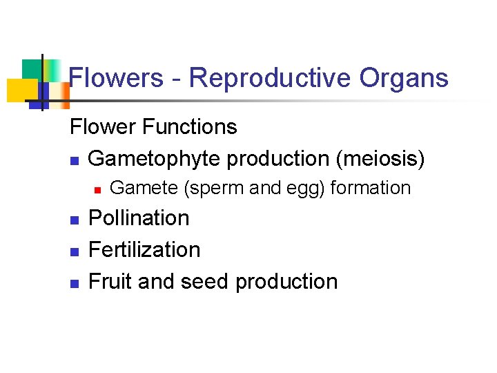 Flowers - Reproductive Organs Flower Functions n Gametophyte production (meiosis) n n Gamete (sperm