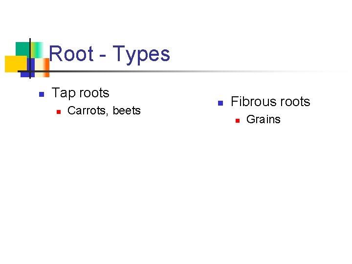 Root - Types n Tap roots n Carrots, beets n Fibrous roots n Grains