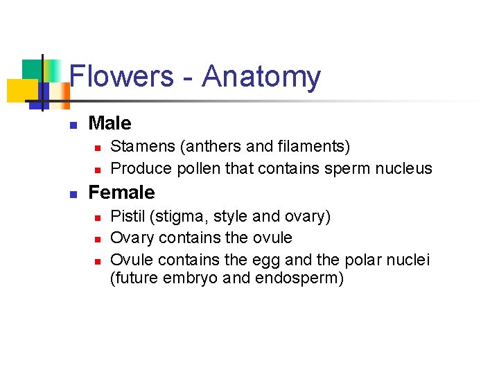 Flowers - Anatomy n Male n n n Stamens (anthers and filaments) Produce pollen