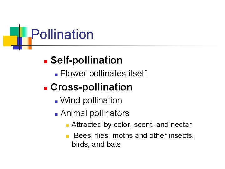 Pollination n Self-pollination n n Flower pollinates itself Cross-pollination Wind pollination n Animal pollinators