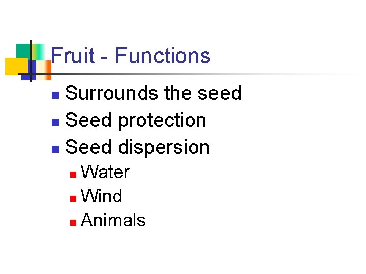 Fruit - Functions Surrounds the seed n Seed protection n Seed dispersion n Water