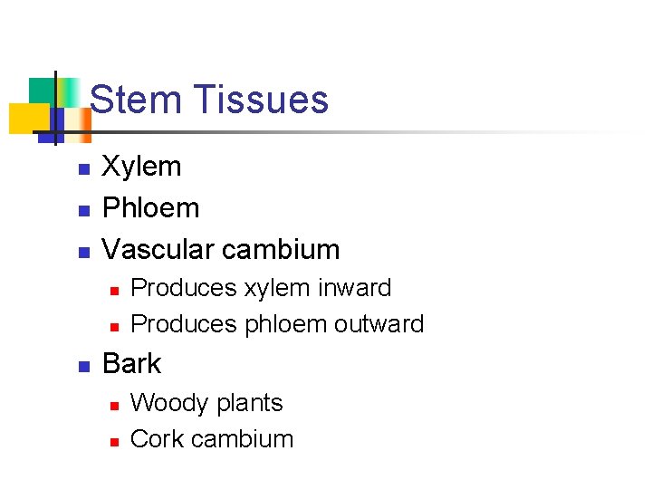 Stem Tissues n n n Xylem Phloem Vascular cambium n n n Produces xylem