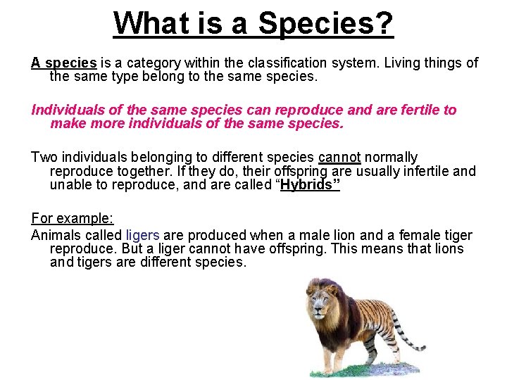 What is a Species? A species is a category within the classification system. Living