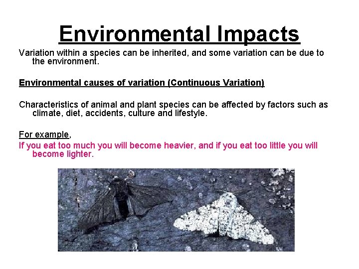 Environmental Impacts Variation within a species can be inherited, and some variation can be