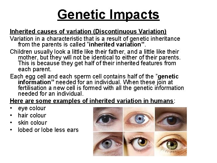 Genetic Impacts Inherited causes of variation (Discontinuous Variation) Variation in a characteristic that is