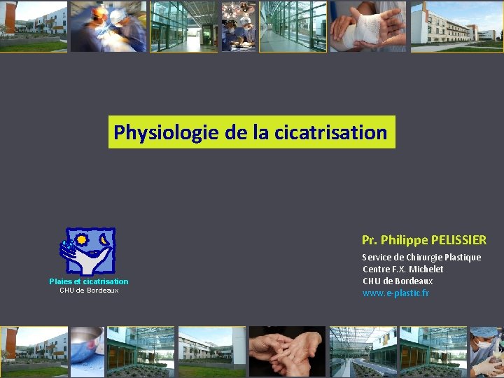 Physiologie de la cicatrisation Pr. Philippe PELISSIER Plaies et cicatrisation CHU de Bordeaux Service