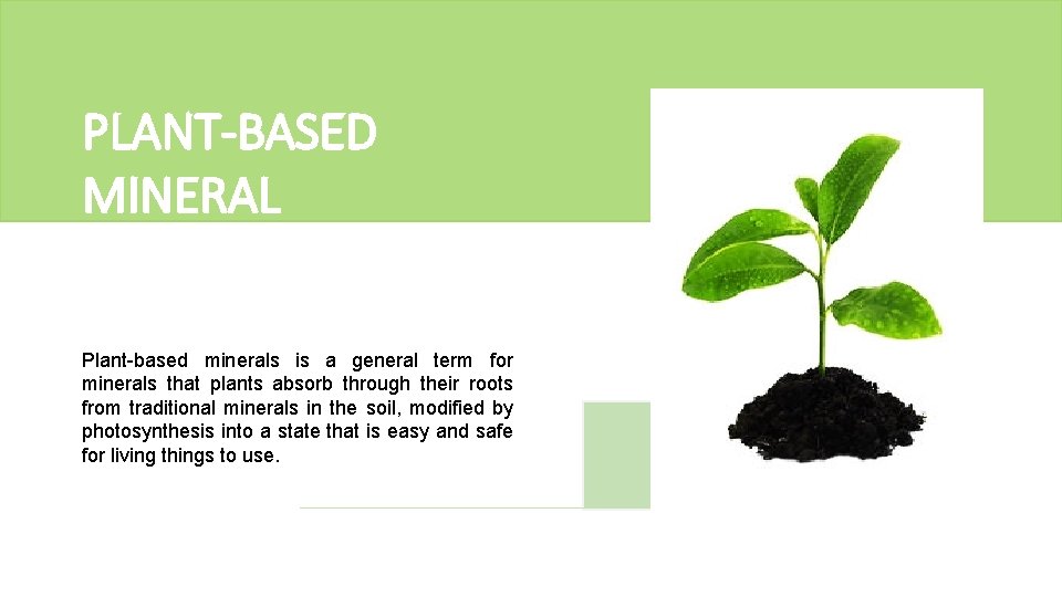 PLANT-BASED MINERAL Plant-based minerals is a general term for minerals that plants absorb through