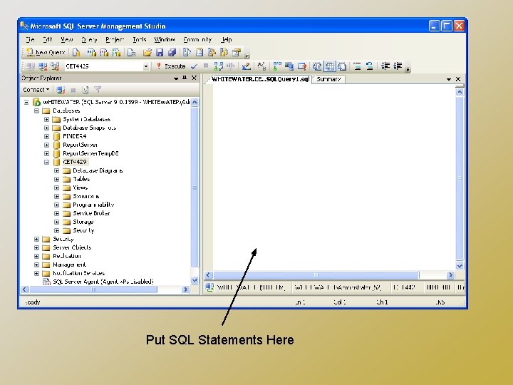 Put SQL Statements Here 