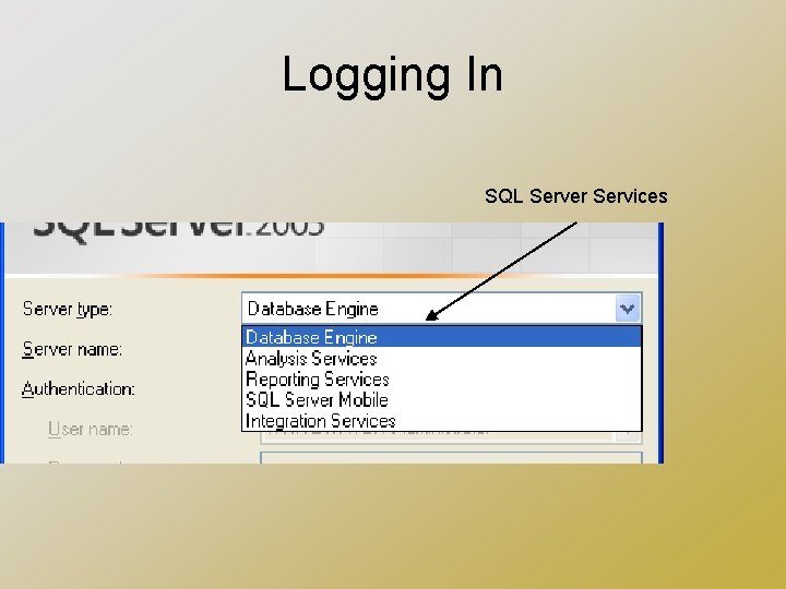Logging In SQL Server Services 