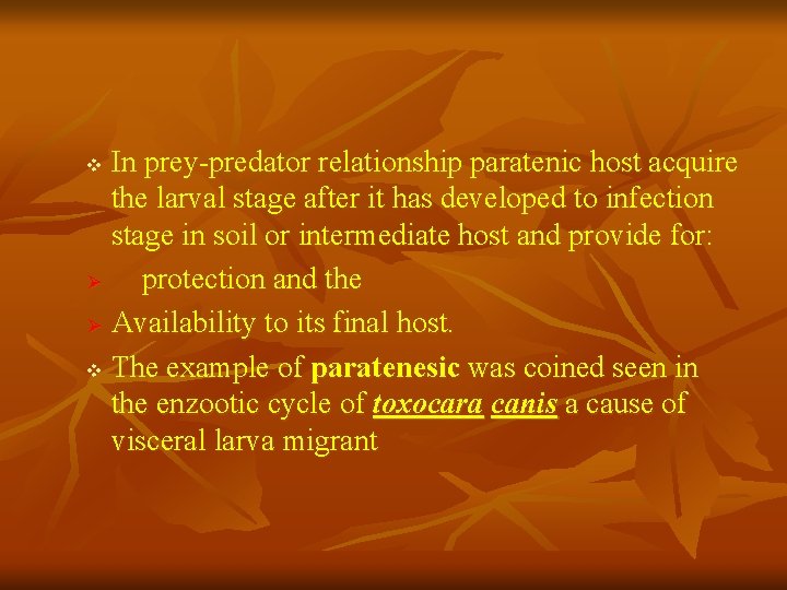 In prey-predator relationship paratenic host acquire the larval stage after it has developed to In prey-predator relationship paratenic host acquire the larval stage after it has developed to