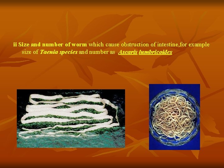 ii Size and number of worm which cause obstruction of intestine, for example size ii Size and number of worm which cause obstruction of intestine, for example size