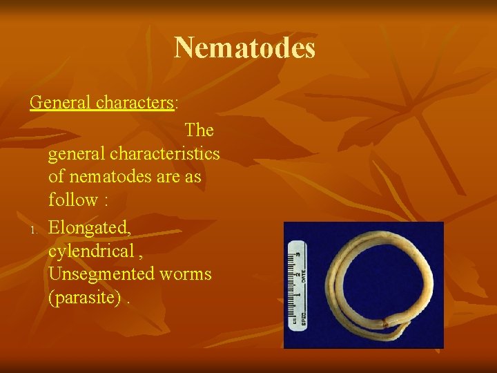 Nematodes General characters: 1. The general characteristics of nematodes are as follow : Elongated, Nematodes General characters: 1. The general characteristics of nematodes are as follow : Elongated,