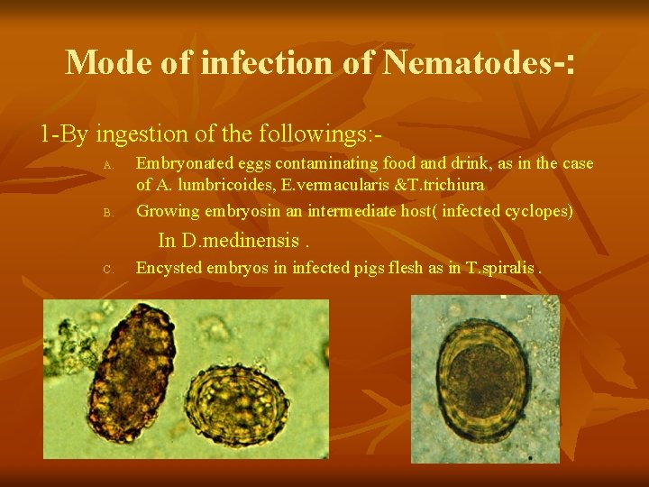 Mode of infection of Nematodes-: 1 -By ingestion of the followings: A. B. Embryonated Mode of infection of Nematodes-: 1 -By ingestion of the followings: A. B. Embryonated