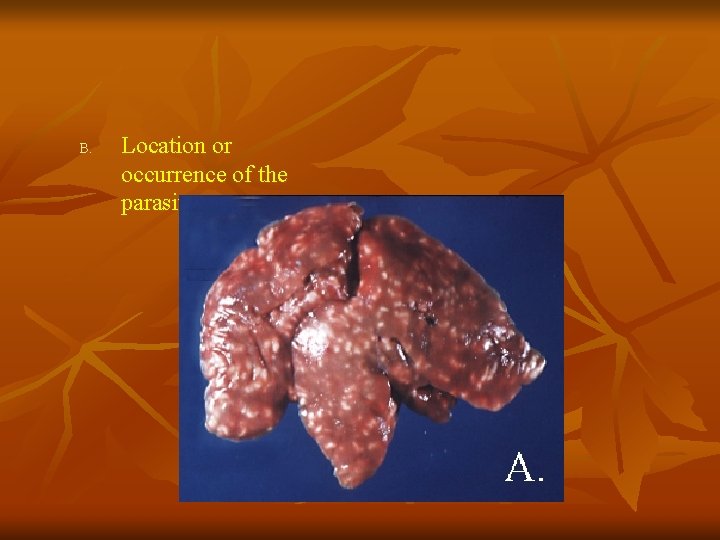 B. Location or occurrence of the parasite B. Location or occurrence of the parasite
