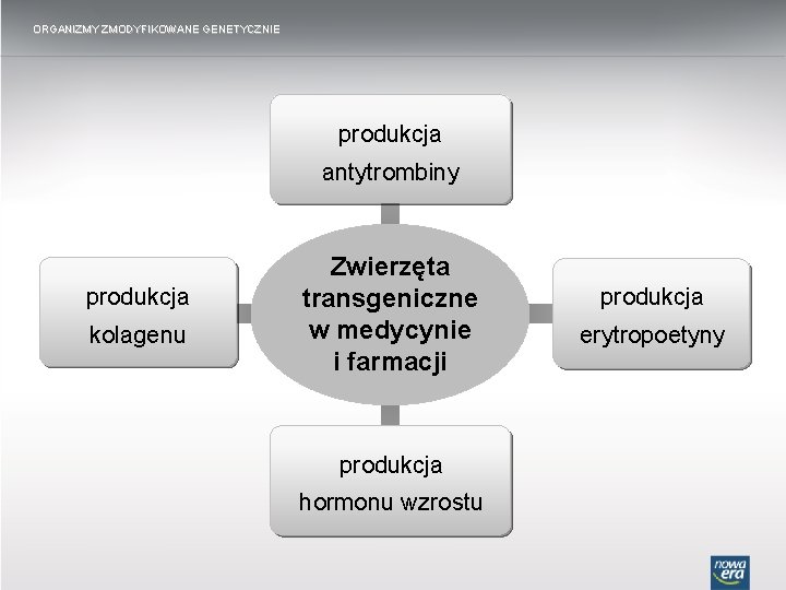 ORGANIZMY ZMODYFIKOWANE GENETYCZNIE produkcja antytrombiny produkcja kolagenu Zwierzęta transgeniczne w medycynie i farmacji produkcja