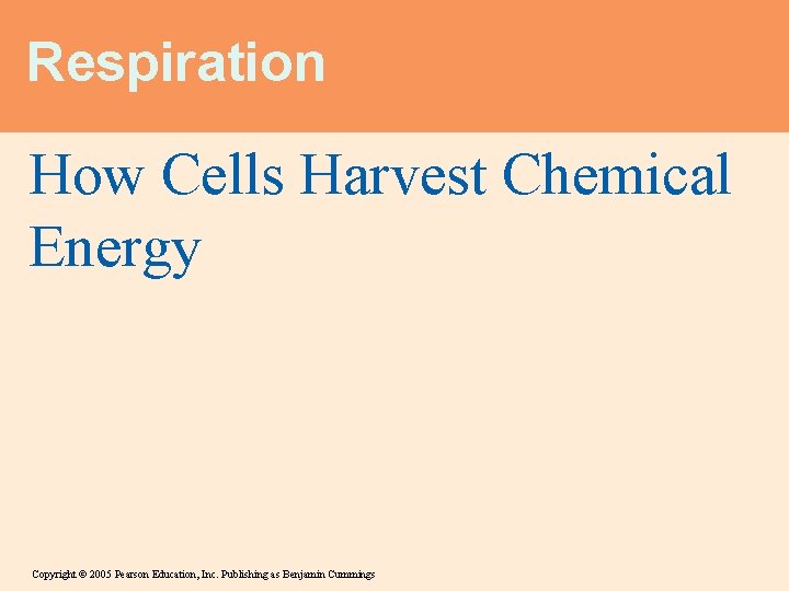 Respiration How Cells Harvest Chemical Energy Copyright © 2005 Pearson Education, Inc. Publishing as
