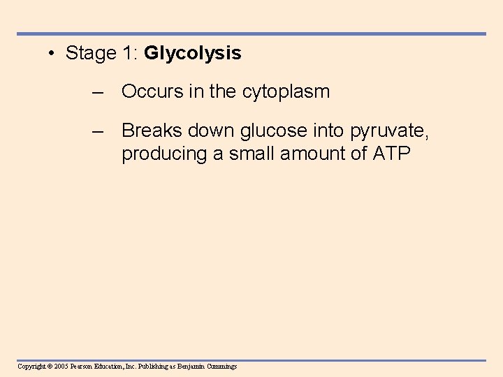  • Stage 1: Glycolysis – Occurs in the cytoplasm – Breaks down glucose