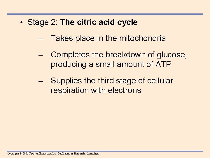  • Stage 2: The citric acid cycle – Takes place in the mitochondria