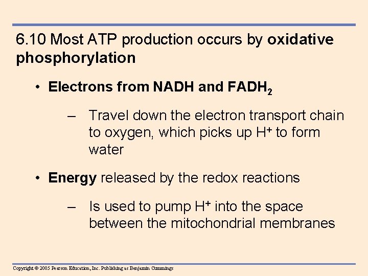 6. 10 Most ATP production occurs by oxidative phosphorylation • Electrons from NADH and