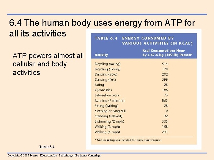 6. 4 The human body uses energy from ATP for all its activities ATP