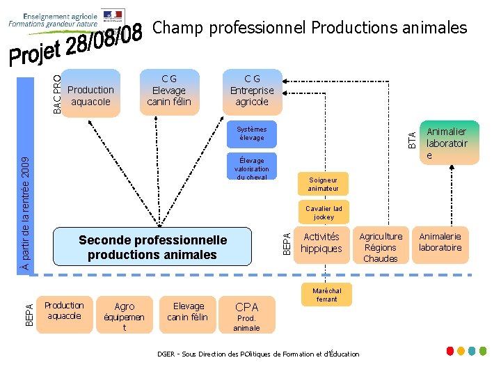 BAC PRO CHAMP PROFESSIONNEL DE LA PRODUCTION Champ professionnel Productions animales CG Elevage canin