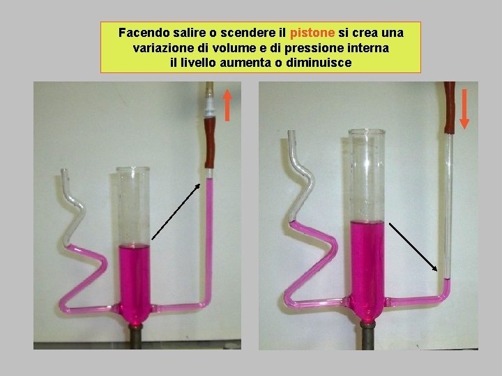 Facendo salire o scendere il pistone si crea una variazione di volume e di