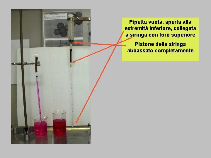 Pipetta vuota, aperta alla estremità inferiore, collegata a siringa con foro superiore Pistone della