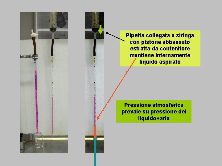 Pipetta collegata a siringa con pistone abbassato estratta da contenitore mantiene internamente liquido aspirato