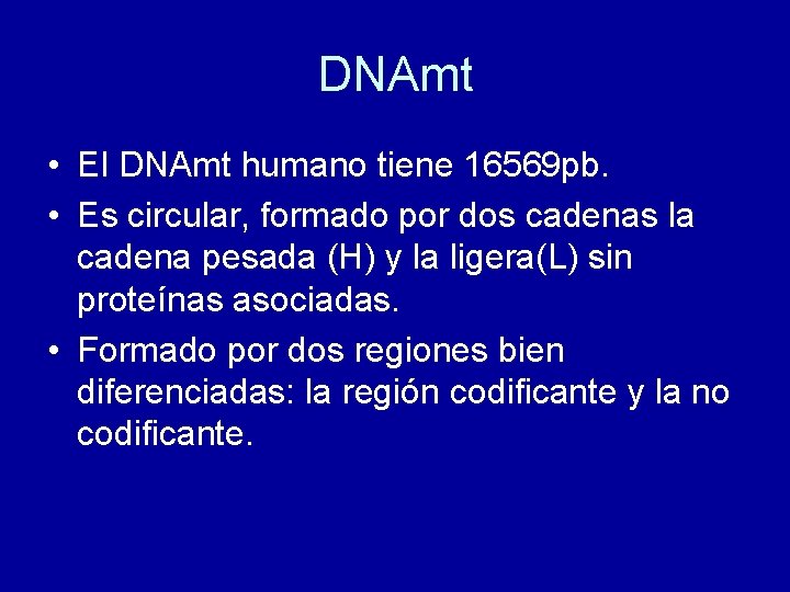 DNAmt • El DNAmt humano tiene 16569 pb. • Es circular, formado por dos