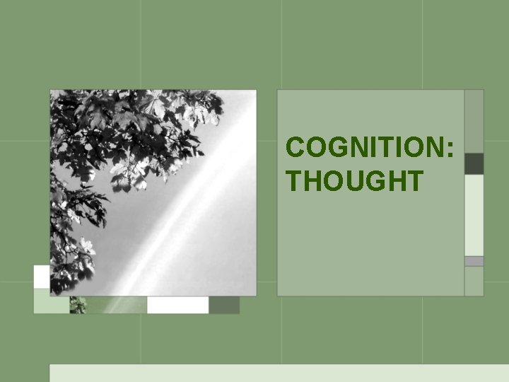 COGNITION: THOUGHT 