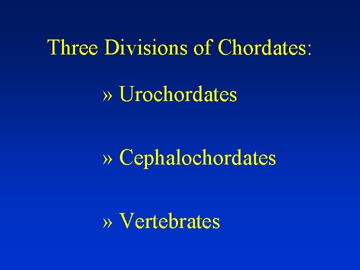 Three Divisions of Chordates: » Urochordates » Cephalochordates » Vertebrates 