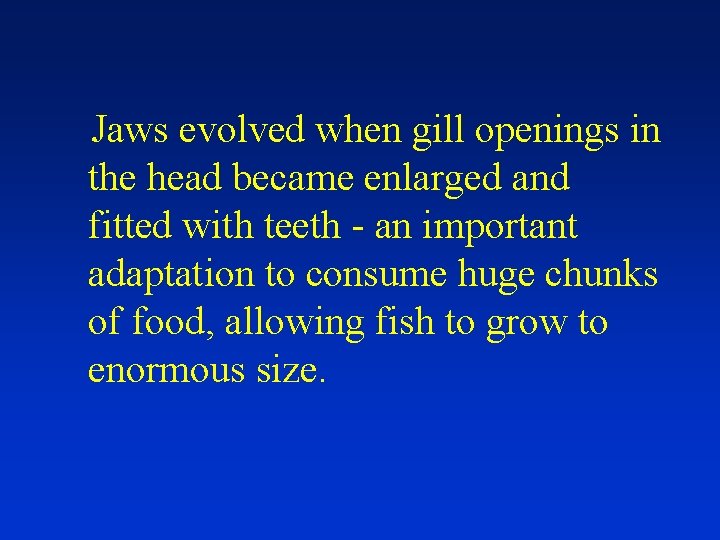 Jaws evolved when gill openings in the head became enlarged and fitted with teeth
