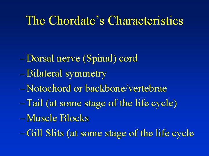 The Chordate’s Characteristics – Dorsal nerve (Spinal) cord – Bilateral symmetry – Notochord or