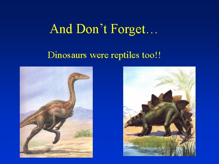 And Don’t Forget… Dinosaurs were reptiles too!! 