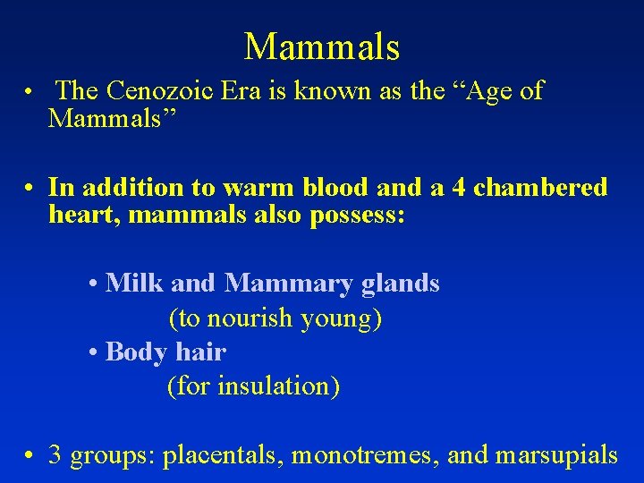 Mammals • The Cenozoic Era is known as the “Age of Mammals” • In