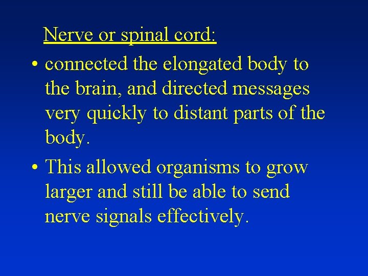 Nerve or spinal cord: • connected the elongated body to the brain, and directed