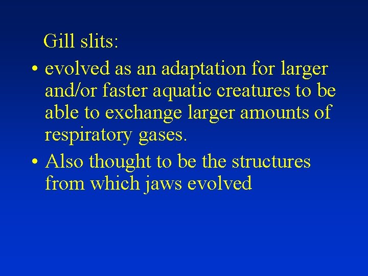 Gill slits: • evolved as an adaptation for larger and/or faster aquatic creatures to