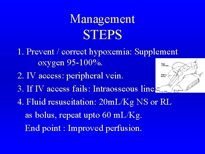 Management STEPS 1. Prevent / correct hypoxemia: Supplement oxygen 95 -100%. 2. IV access: